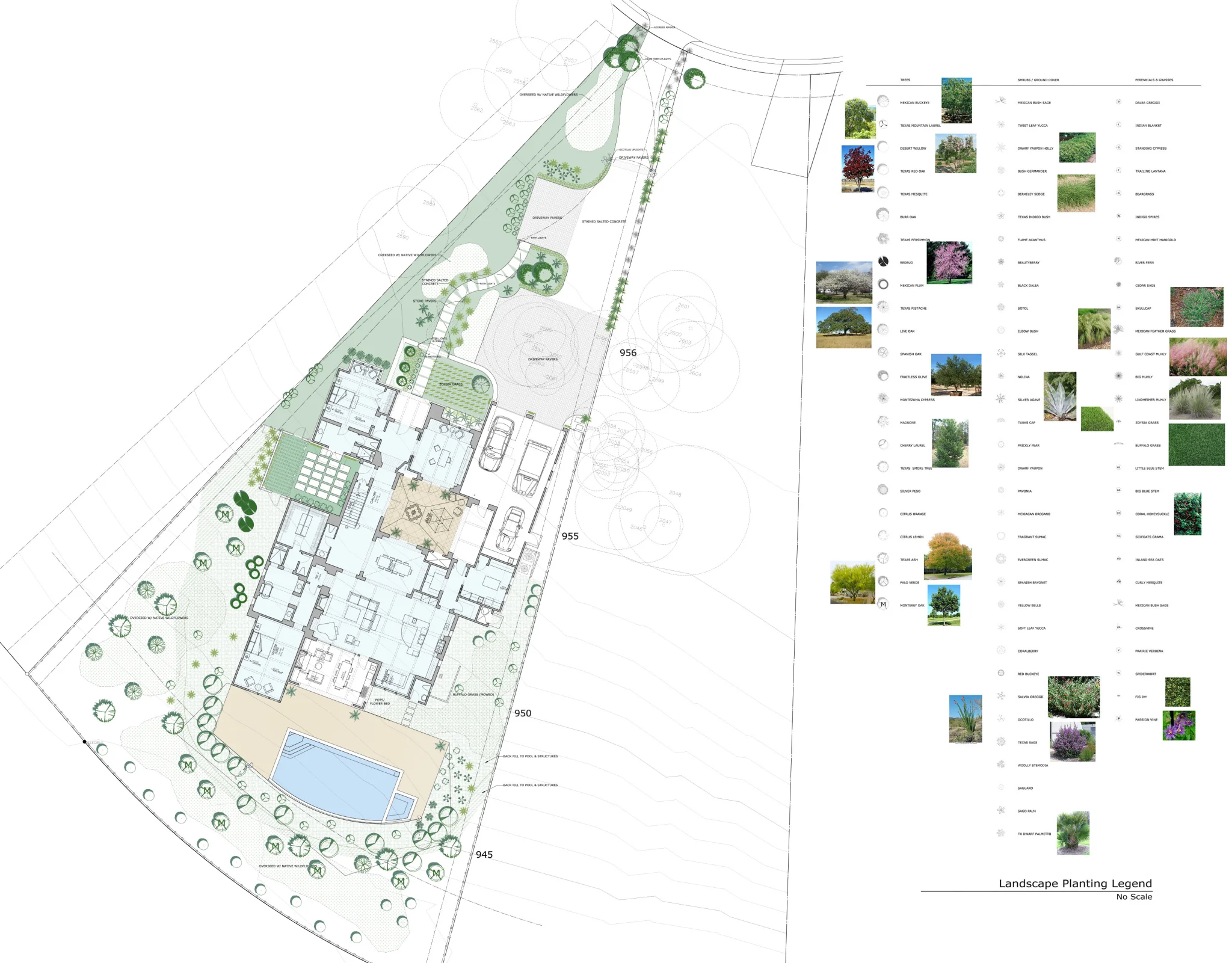 Landscape Plan